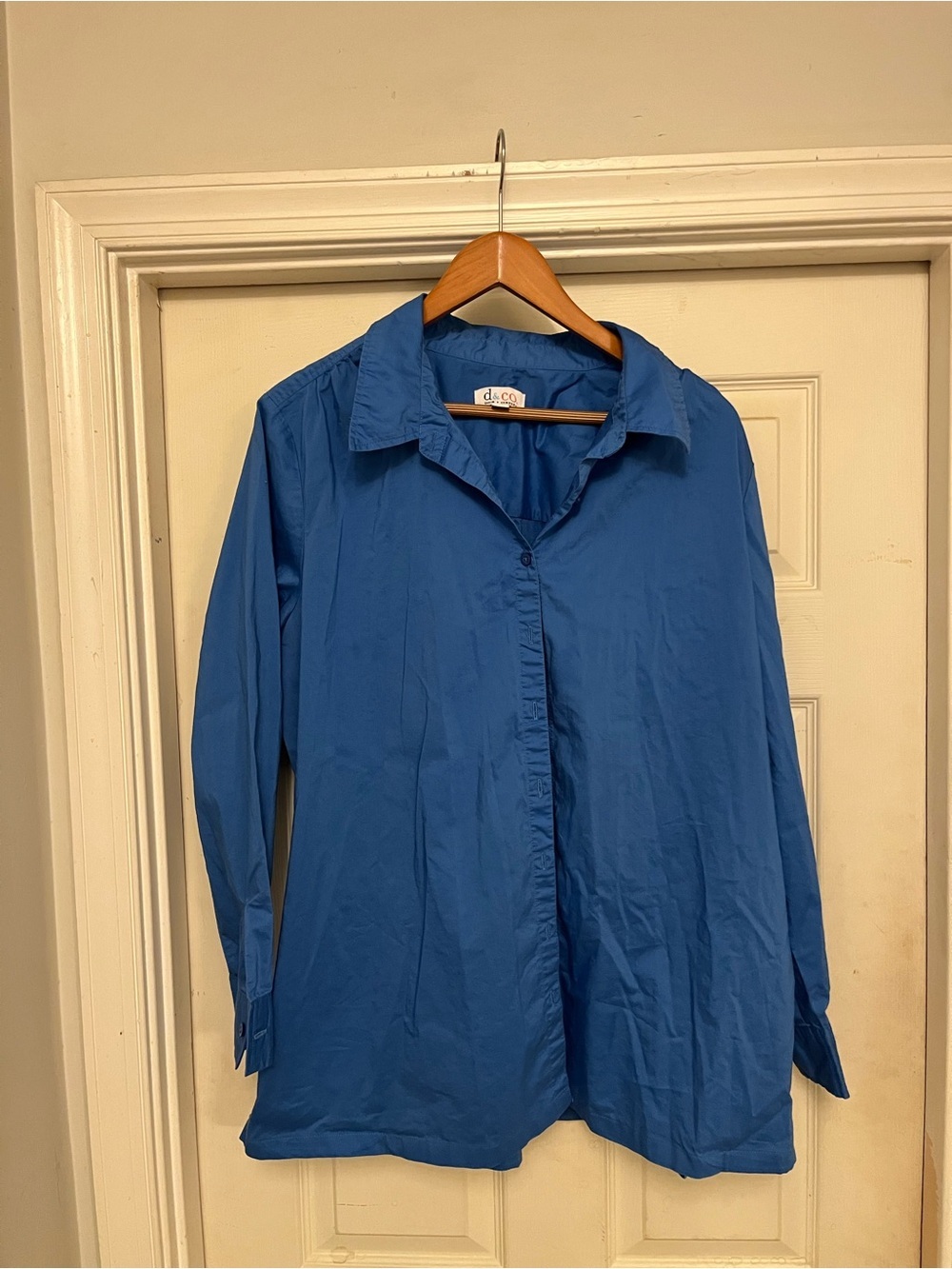 Classic Collared Button-Front Blouse in Blue
